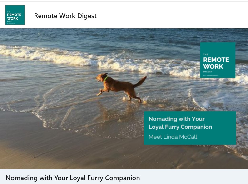 Traveling with Dogs as a Digital Nomad The Ultimate Guide for Pet