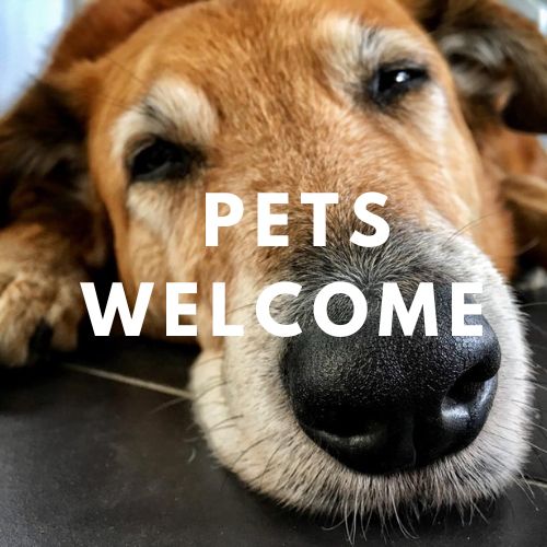 Pets welcome Accomodation